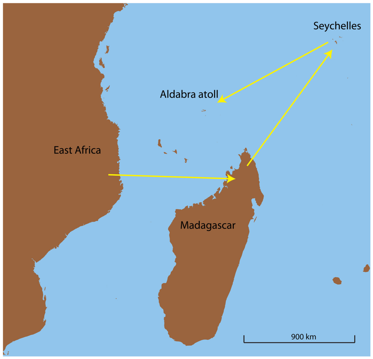 Jonathan’s potential island of origin. Current theory on the dispersal route of Aldabras out of Africa.