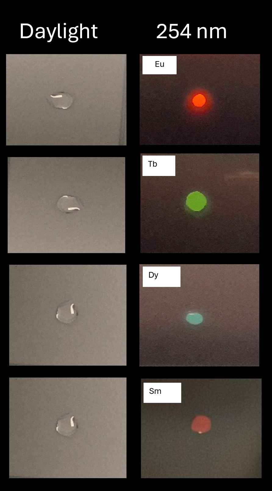 The liquids as seen under daylight and UV illumination.