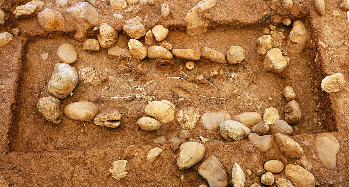 The “Rialzo 8” tomb dates from the 6th century B.C. The grave goods placed along the left side of the deceased’s body consist of nine ceramic vessels, including drinking bowls imported from Athens. 