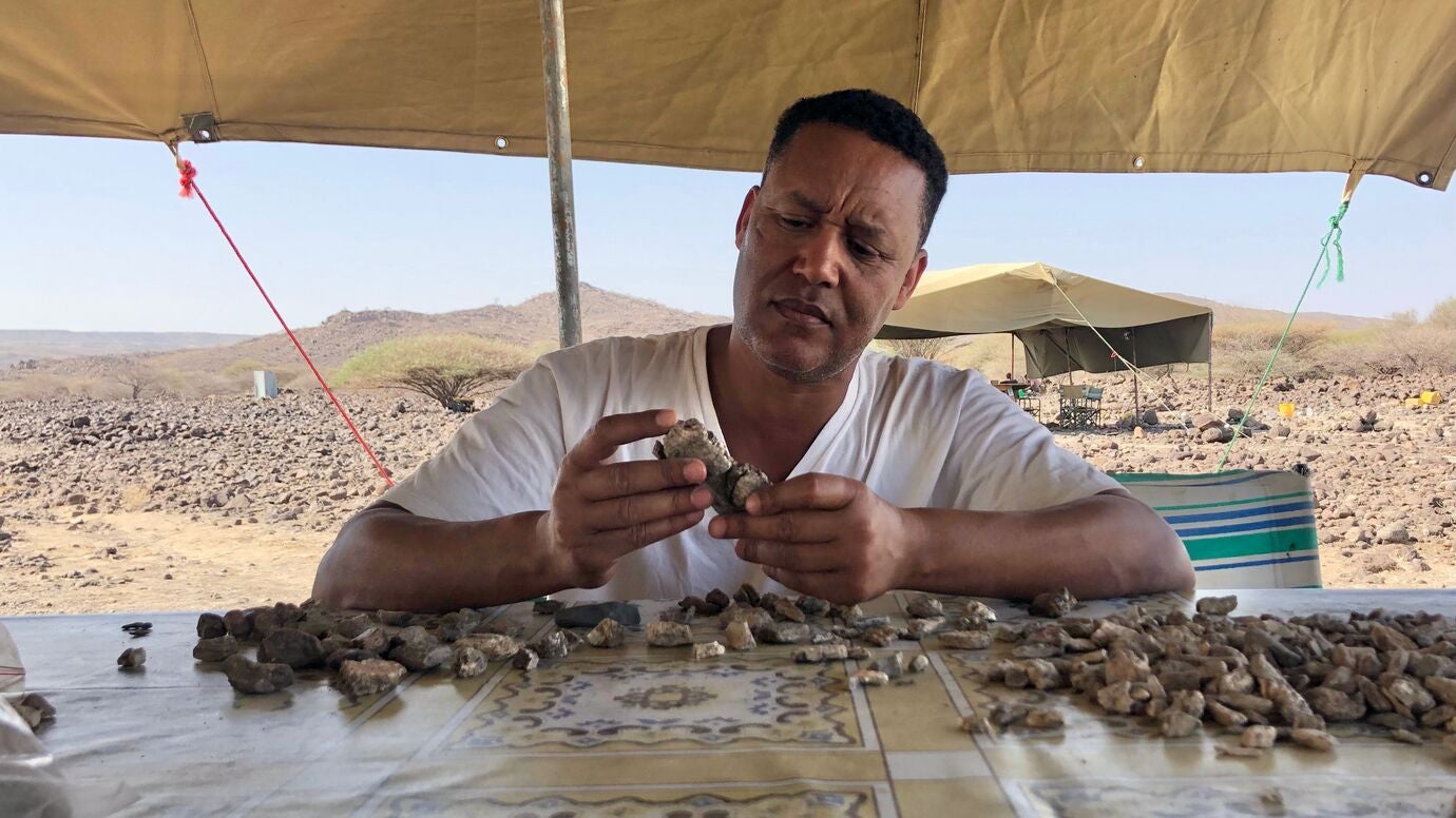Alemseged sifts through unidentified fossil fragments in the field to find parts of a Paranthropus specimen.
