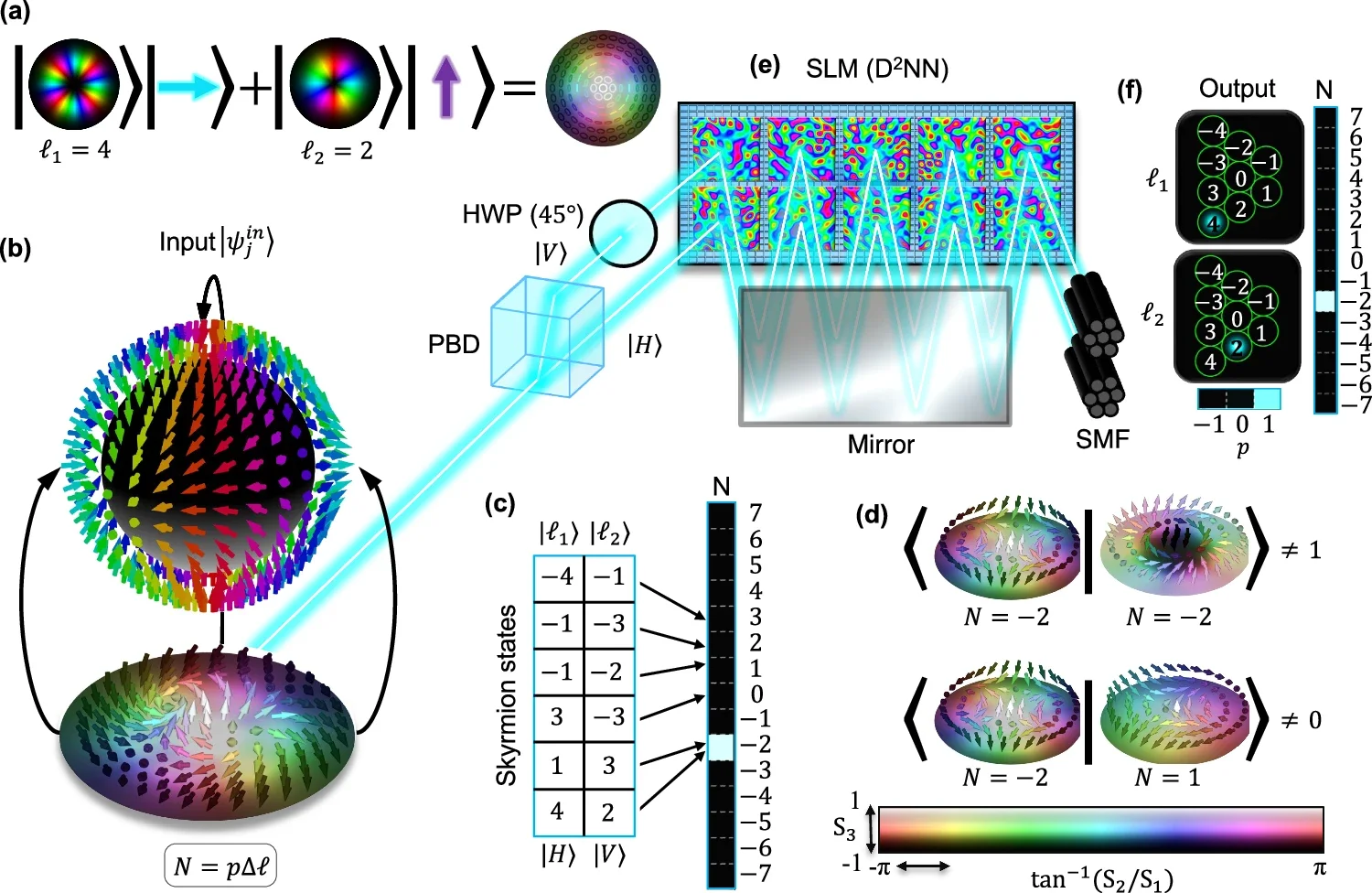 Concept of a deterministic detector for optical skyrmions.