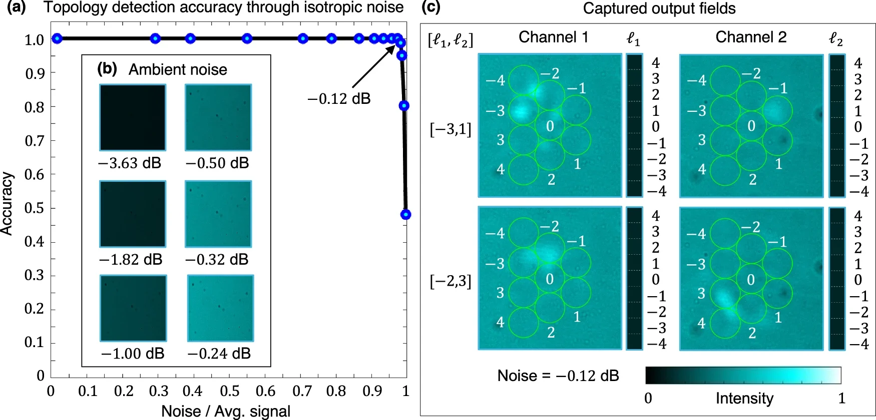 Topology detection fidelity when applying increasing levels of isotropic noise. A detection accuracy of 100% is maintained until the noise level reaches ≈−0.22 dB, corresponding to a noise strength that is ≈95% of the average signal. 