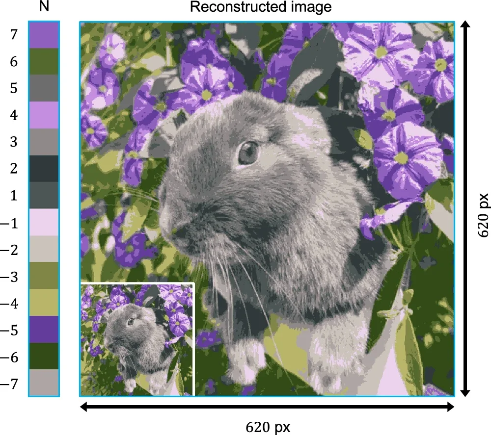 The reconstructed image was compiled using single-shot measurements taken by our topology detector. The image that is transmitted to the detector is shown as an inset and is constructed using a 14-levelled encoding scheme, utilising various skyrmion topologies (N) as the information carriers.