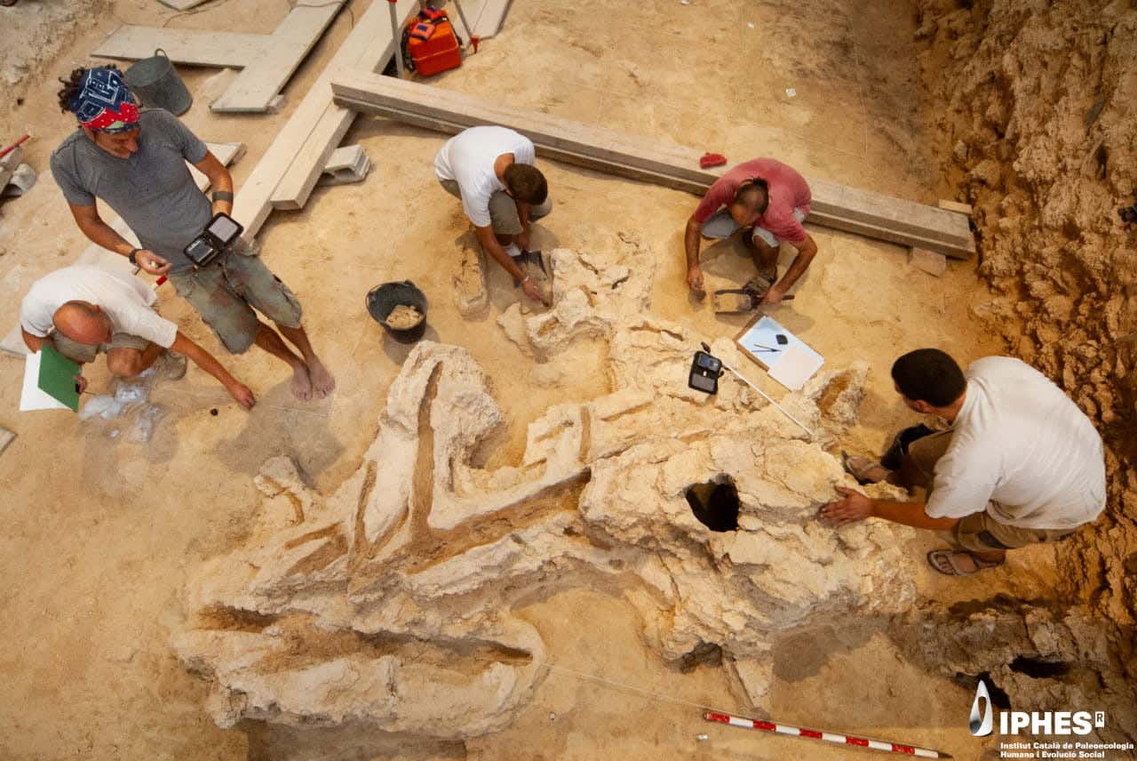Drawing and recording work during the excavation of the wooden object at Abric Romaní.