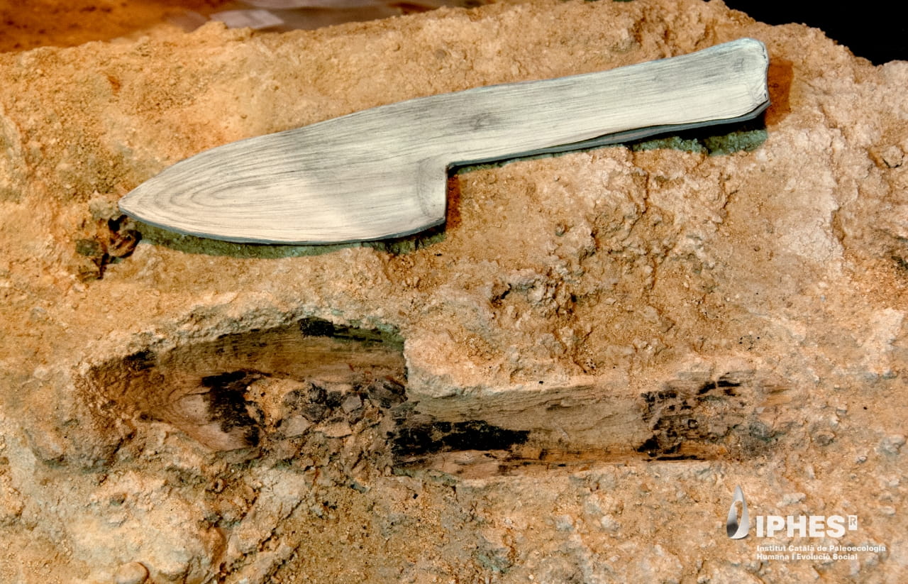 Wooden object from Abric Romaní interpreted as a wooden club.