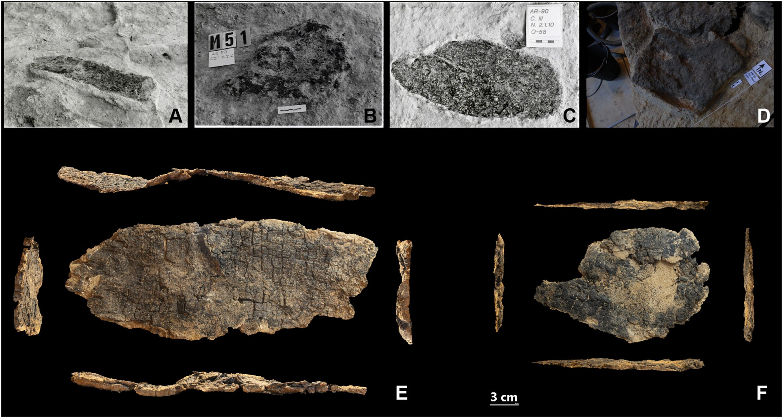Trays crafted from bark that have been preserved in a carbonized state, recovered from levels H and O.