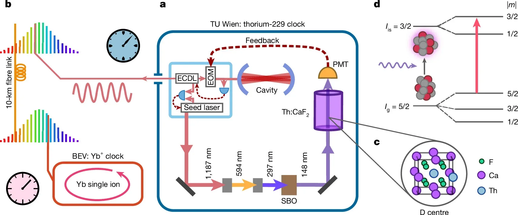 Schematic representation of the set-up.