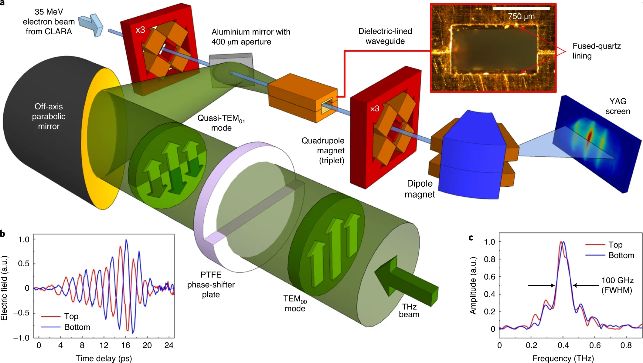 Schematic showing the THz beam converted into a quasi-TEM01 mode by a polytetrafluoroethylene (PTFE) phase-shifter plate and focused into the DLW for collinear interaction with the 35 MeV electron beam. 