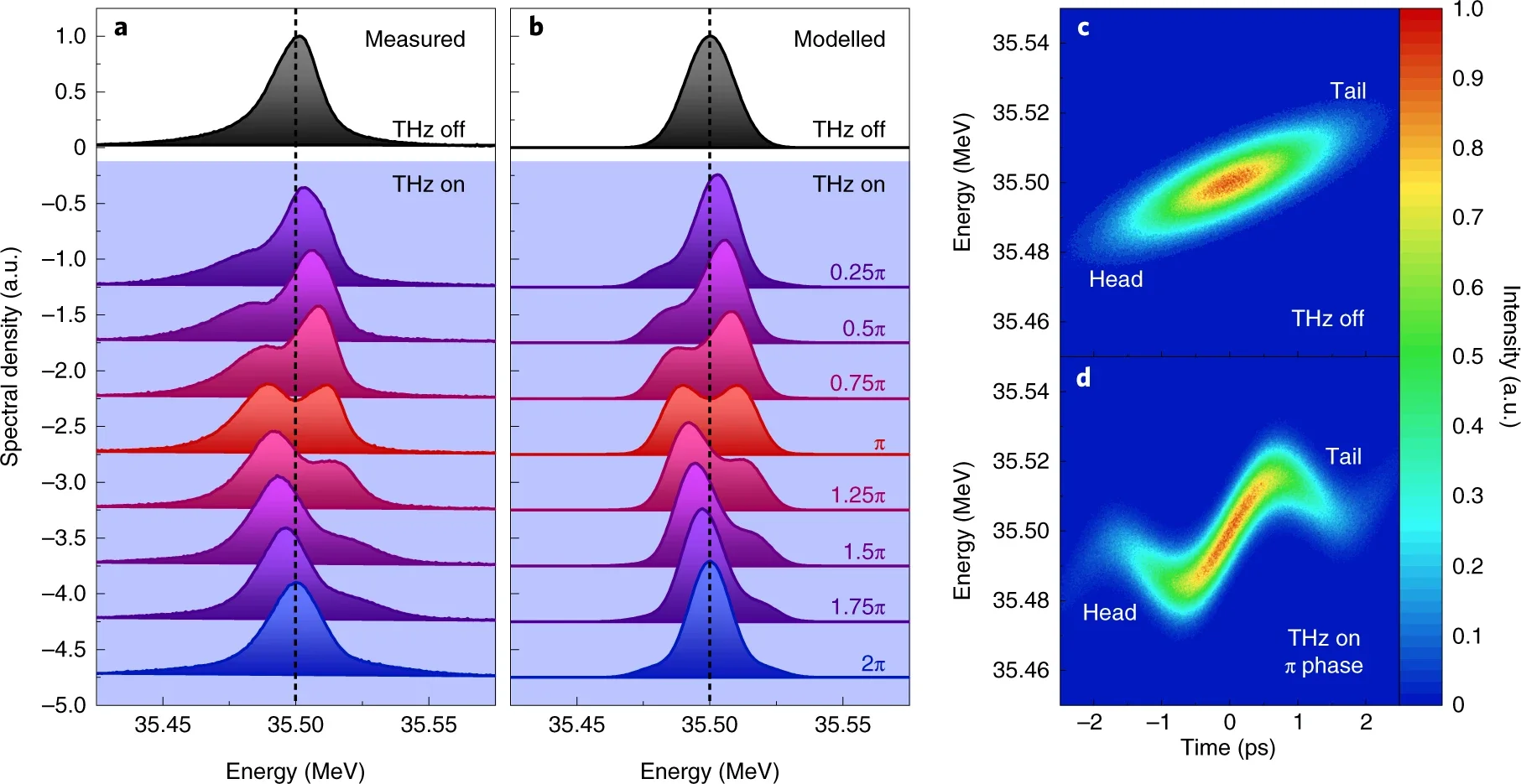 Measured single-shot electron energy spectra with THz off and THz on, obtained using short-duration (2 ps, FWHM), low-energy-spread (21 keV, FWHM) electron bunches. 