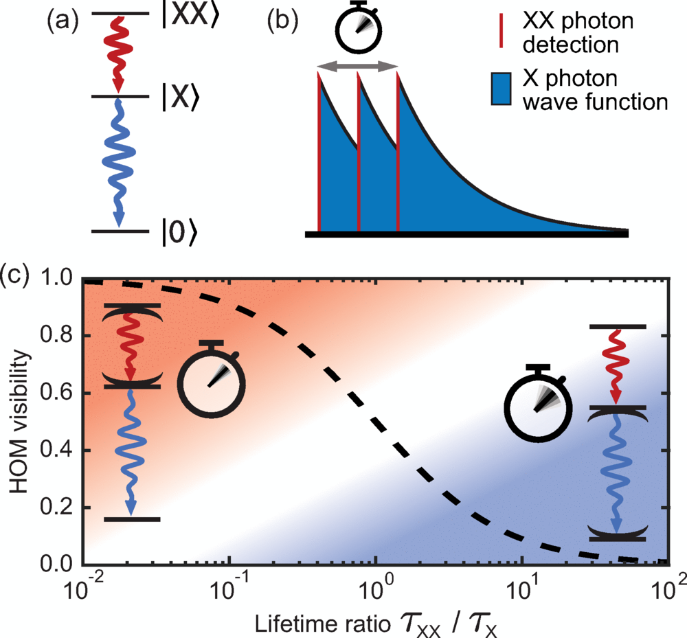 The biexciton cascade emits two time-correlated photons, creating timing jitter that limits their indistinguishability. Shortening the biexciton lifetime reduces this jitter and improves photon coherence.