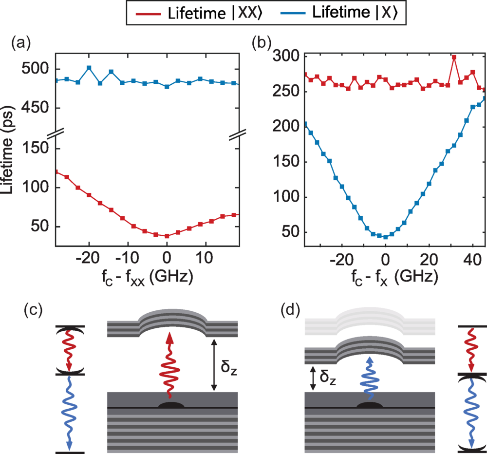 Scanning the cavity resonance tunes the XX and X photon transition lifetimes by two orders of magnitude. The open microcavity selectively enhances either the |XX⟩ → |X⟩ or |X⟩ → |0⟩ transition.