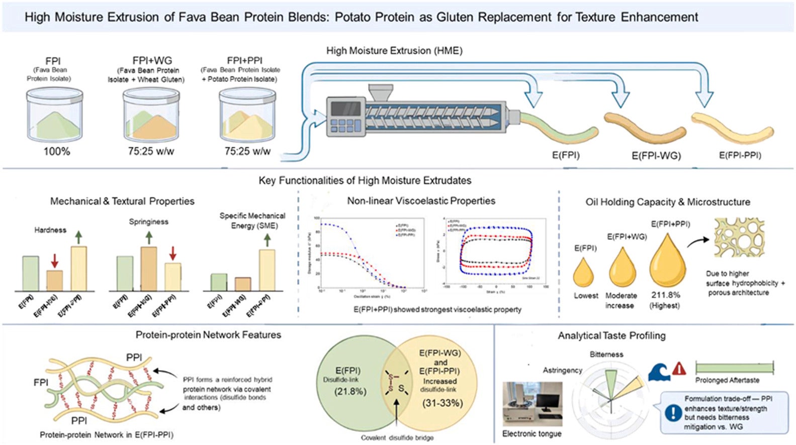 Graphical abstract. High-moisture extrusion (HME) enables fibrous structuring of plant proteins for meat analogues where wheat gluten (WG) remains a prevalent texture aid with allergenicity concerns.