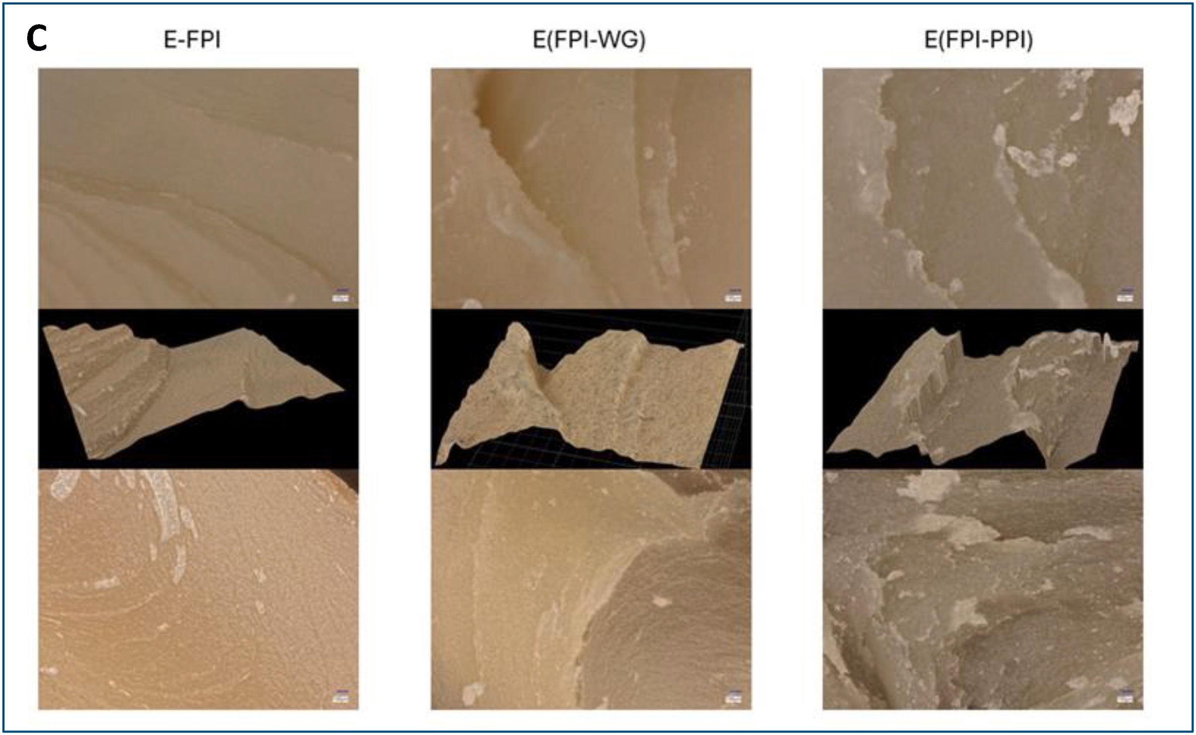 Digital micrographs viewed across the axis of extrusion for FPI, FPI-WG and FPI-PPI at 100× magnification.
