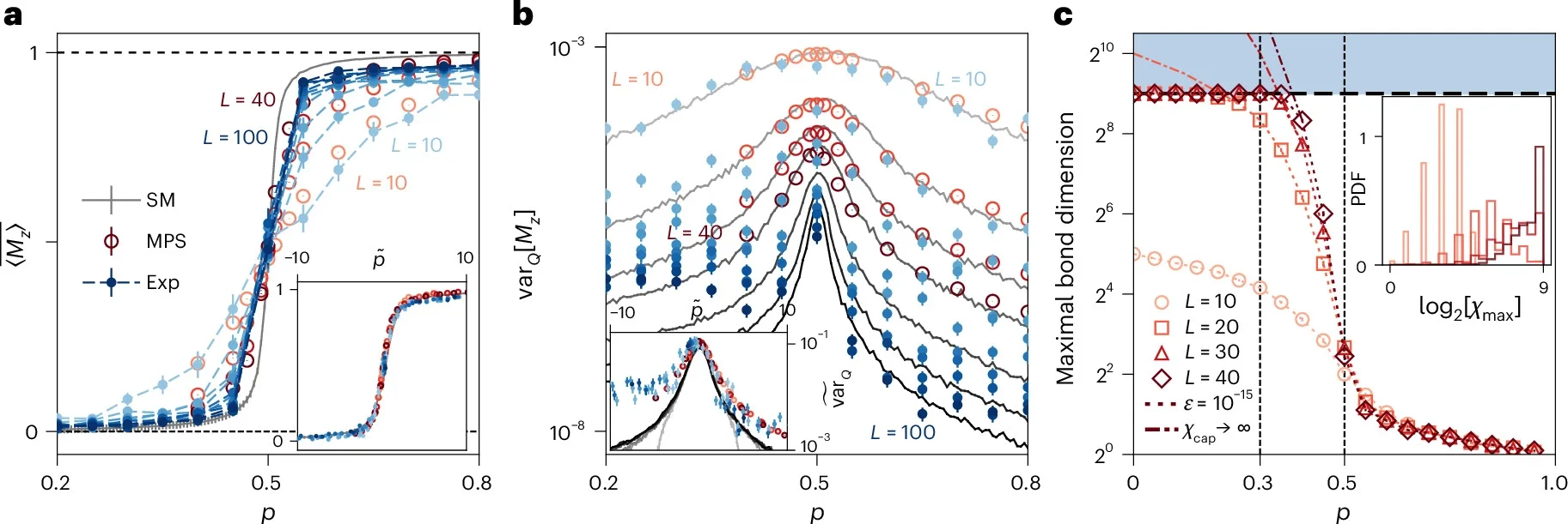 Quantum-to-classical control transition in the long-time steady state.