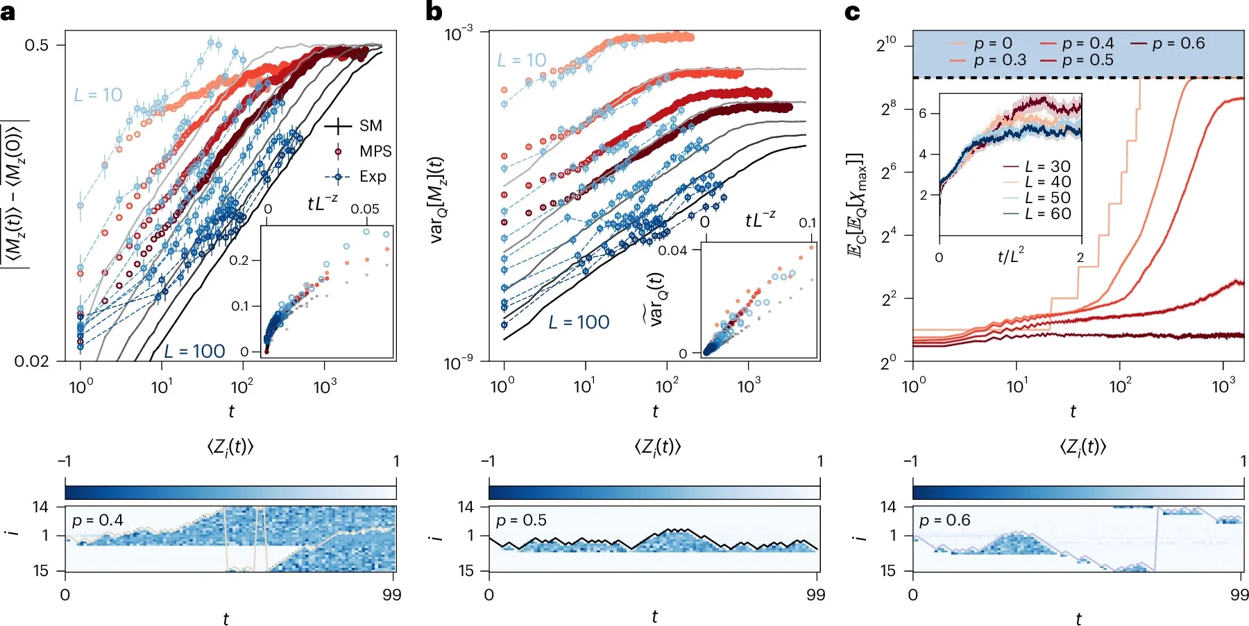 Dynamical nature of the control transition.