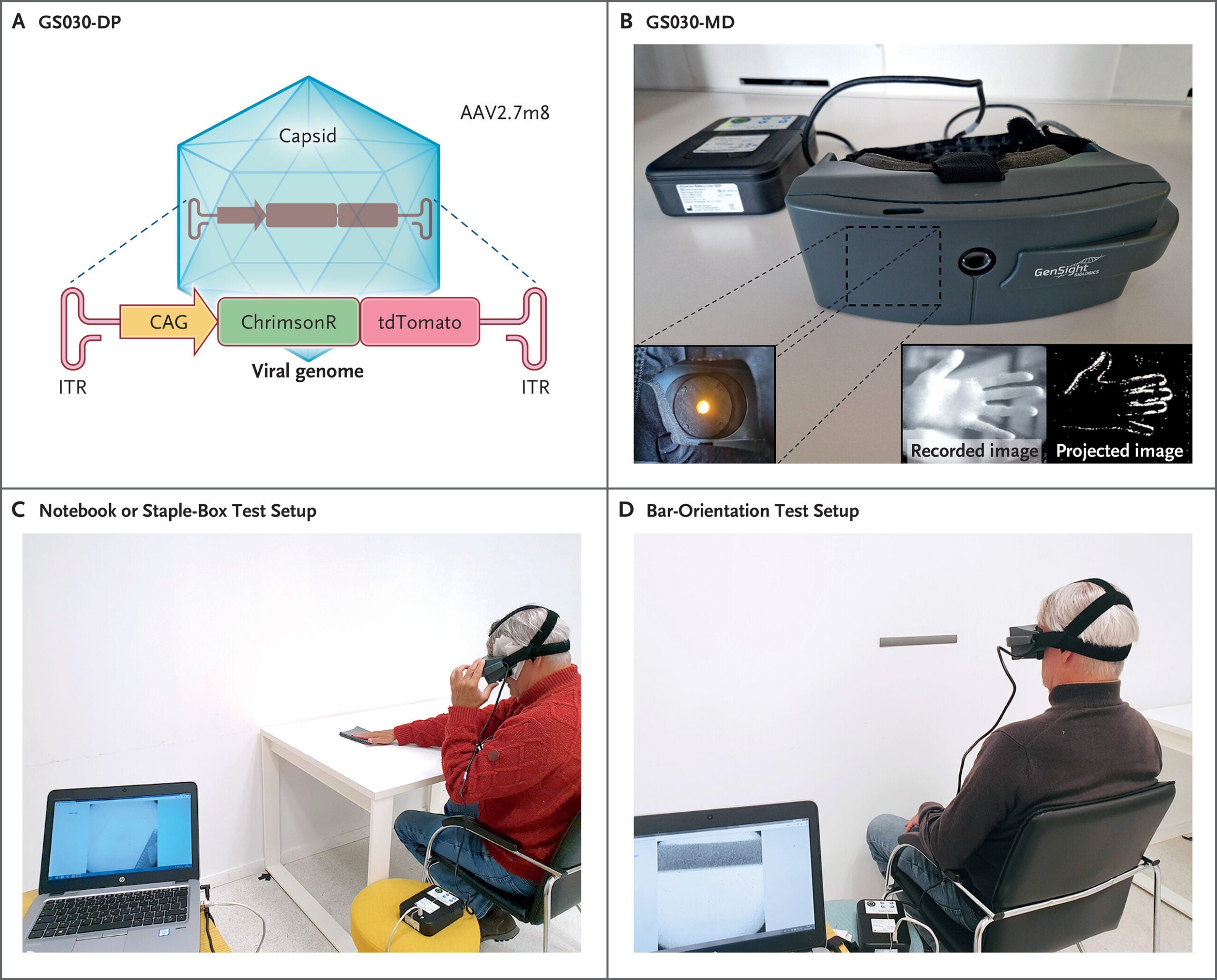 The panels show the GS030-DP gene therapy vector and GS030-MD goggles, which convert camera images into amber light patterns projected onto the retina. Additional panels show a participant completing notebook recognition and bar-orientation tests to assess visual performance.