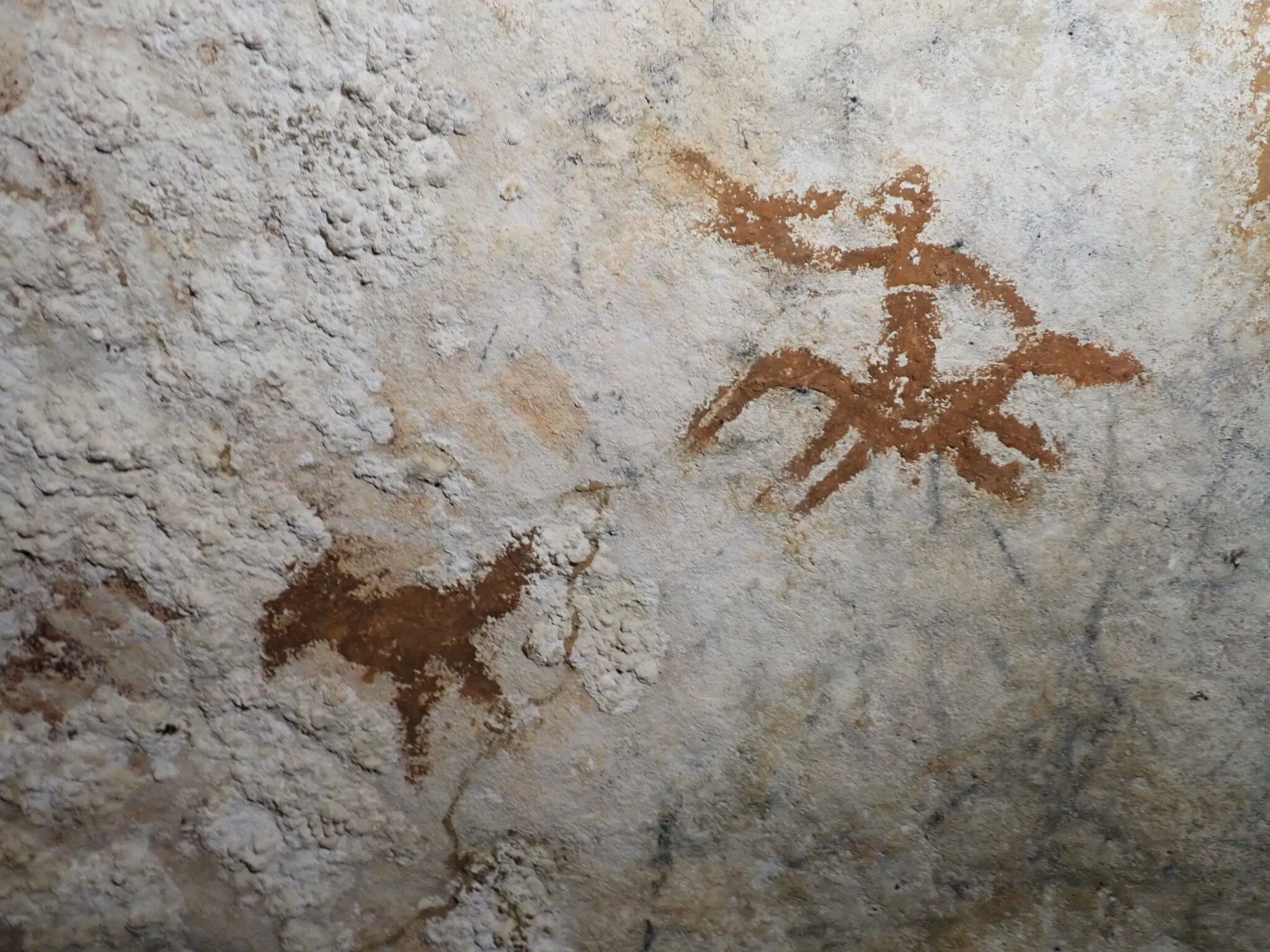 The faint 67,800 yr old hand stencil is barely visible amongst much younger art