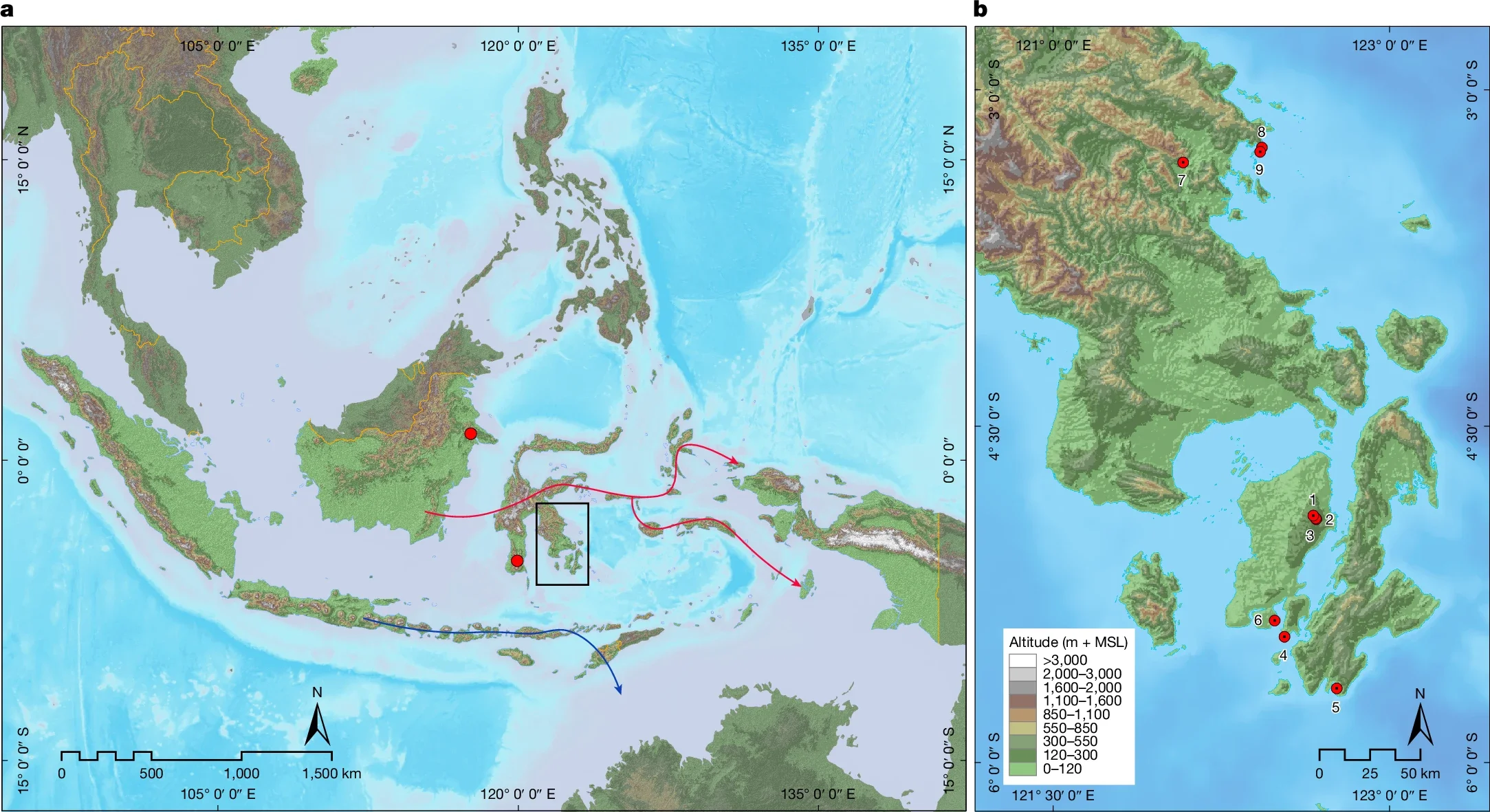 Map of Sulawesi and the wider region. The proposed modern human migration routes from Sunda to Sahul; the northern route through Wallacea is delineated by the red arrows, and the southern route is delineated by the blue arrow. 