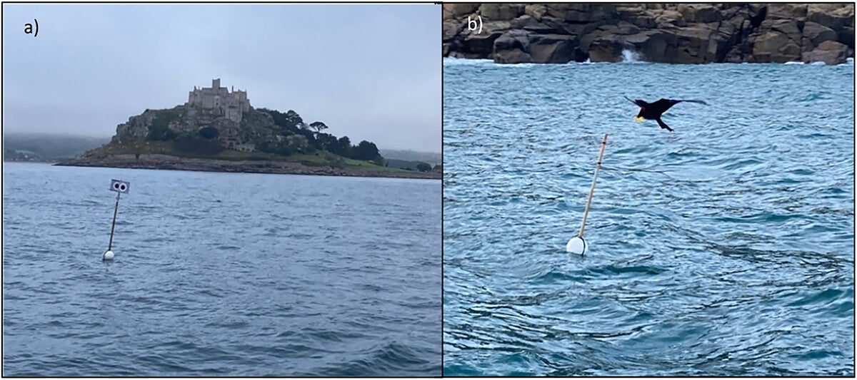 Images of the above water deterrents used in this study. (a) the looming-eyes buoy (image courtesy of Richard Caslake), and (b) the “scarybird” kite.