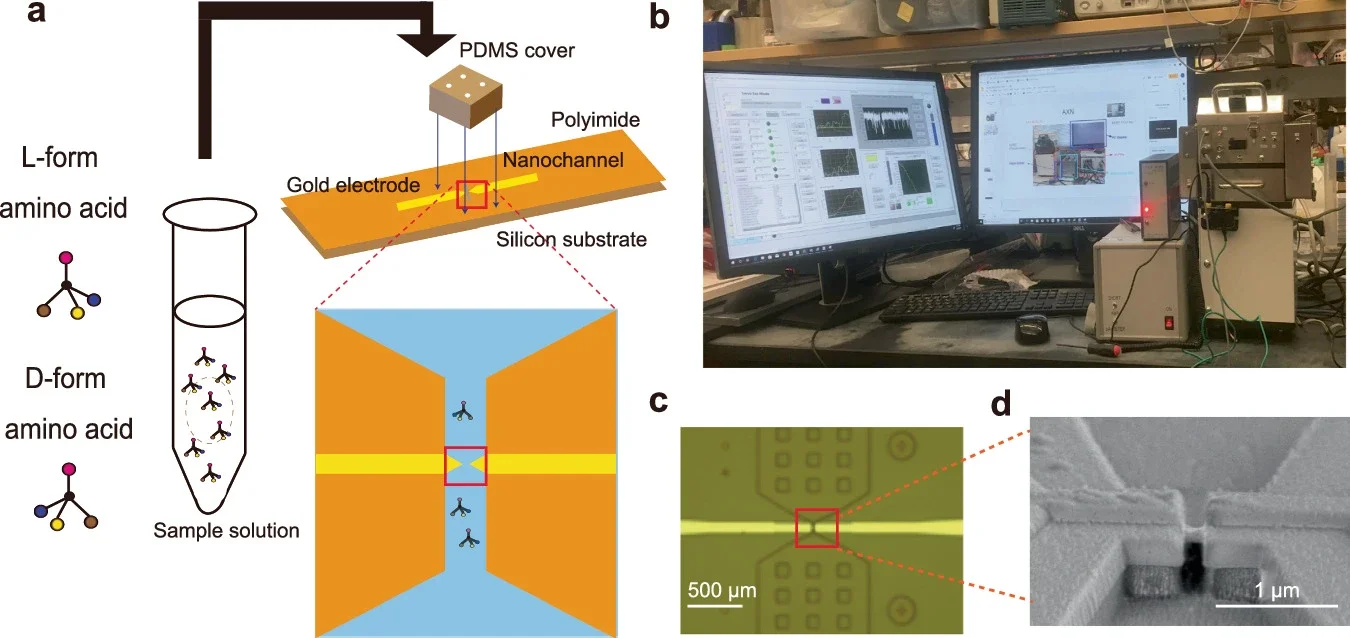 Schematics of chirality analysis for amino acid molecules with a nanogap device.