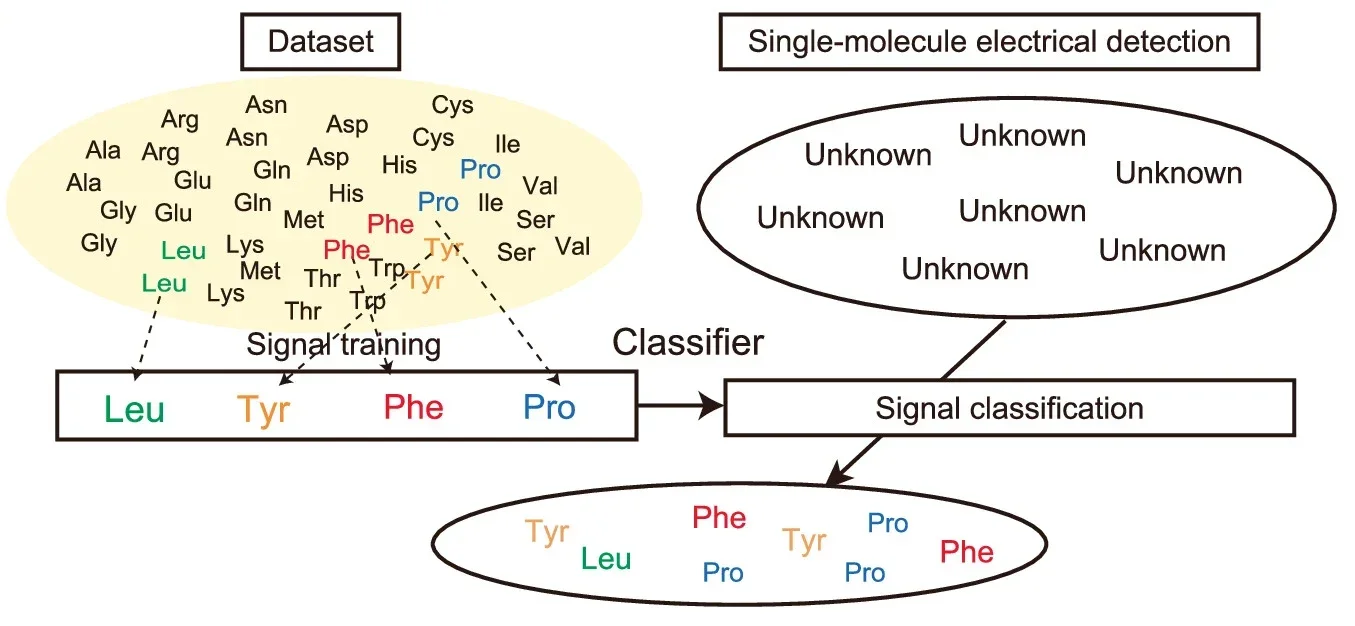 Discrimination of individual amino acids in a mixed solution containing L-form and D-form species.