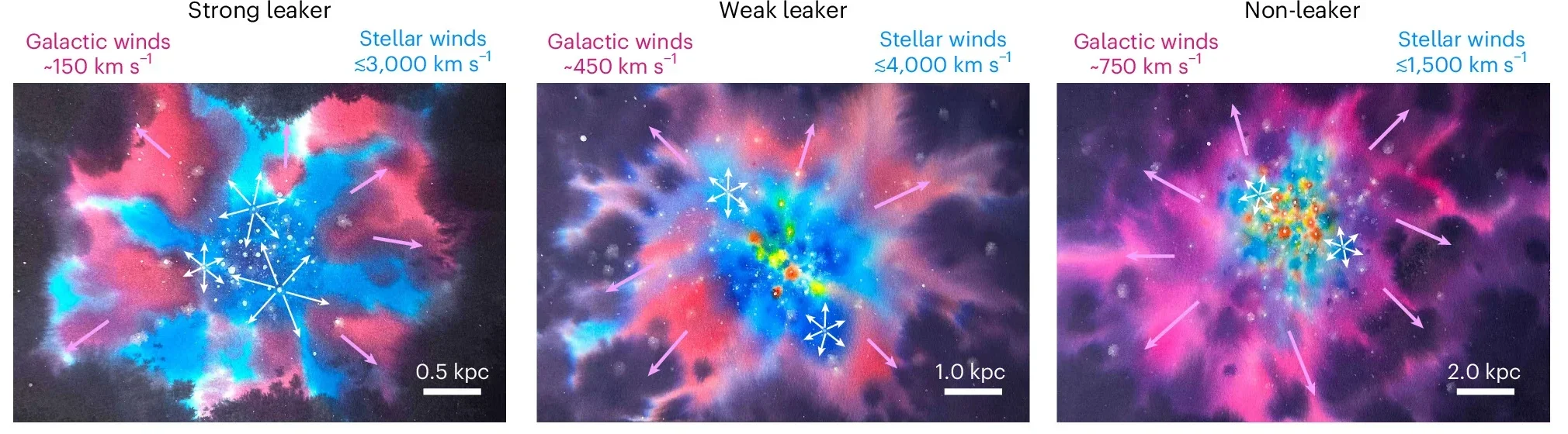 Illustration of the LyC escape sequence alongside the launch of a multiphase galactic wind in compact, star-forming galaxies, inferred from stellar and galactic absorption features.