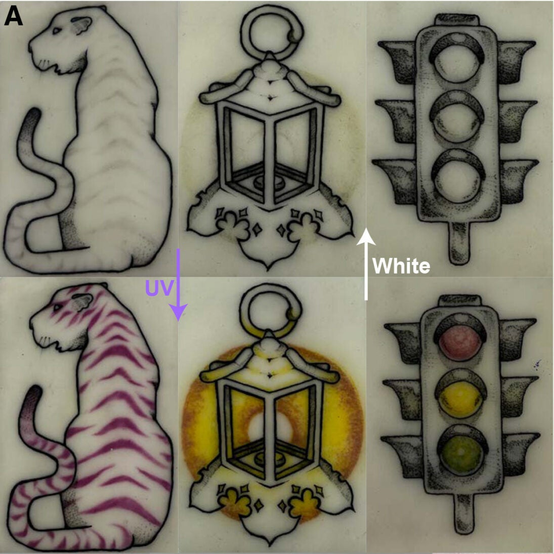 PhotoTat can be combined with conventional tattoo ink to add dynamic photo-responsive elements to body art, exemplified by a Cheshire cat, lantern, and traffic light that colorize upon exposure to UV light and decolorize with sufficient white light exposure.